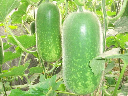 吃瓜网每日大赛 反差吃瓜爆,揭秘明星们的双重魅力