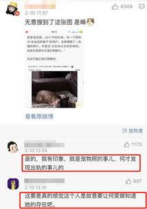 吃瓜 江钰源,吃瓜群众的娱乐盛宴