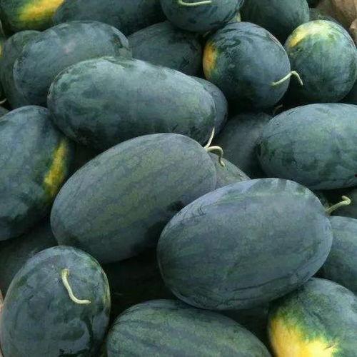 北京吃新瓜,品味北京特色夏日美食