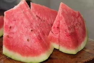 吃石头瓜视频大全图片,揭秘吃石头瓜的神秘世界