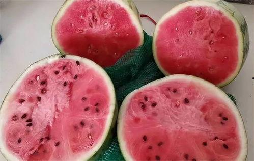 麒麟瓜整瓜能放多久吃,掌握存放技巧，尽享美味时光