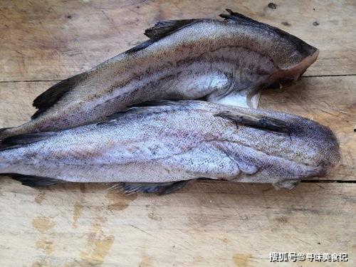 书俊吃瓜鱼,揭秘娱乐圈的幕后故事