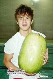 宏琪吃瓜,揭秘娱乐圈幕后故事