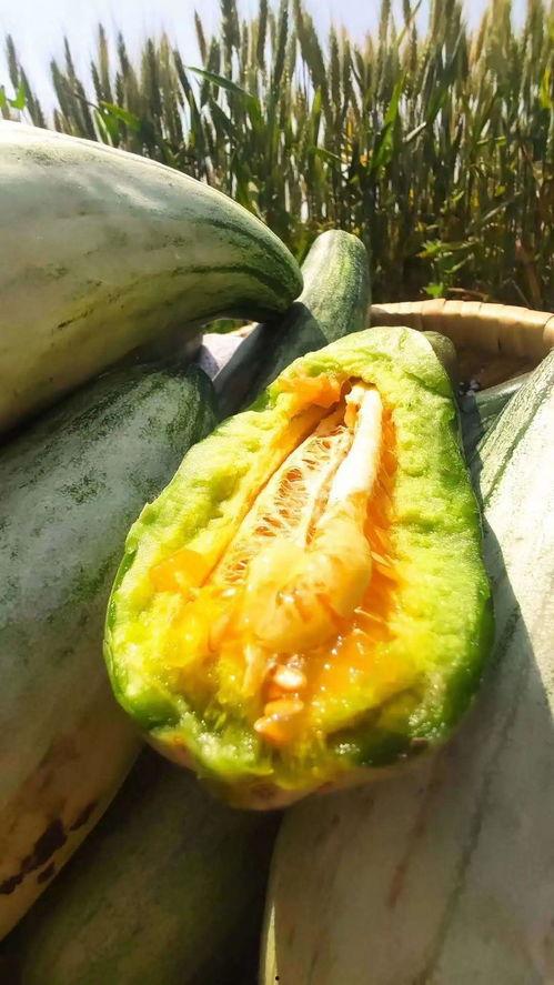 静等吃瓜图片,笑看风云