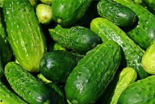 梦见吃坏瓜,吃坏瓜背后的寓意与启示