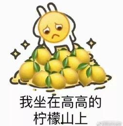 声控灯吃瓜,科技与生活的和谐交响