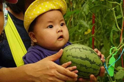 拉拉吃瓜群,揭秘娱乐圈幕后故事