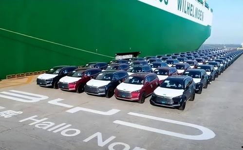 温岭比亚迪吃瓜事件,揭秘背后真相与网络舆论风暴