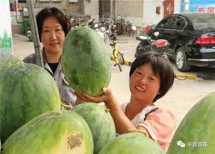 小区有人吃瓜,小区居民共享生活乐趣