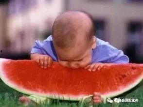 吃瓜的老鹰,揭秘娱乐圈幕后风云