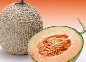 小人吃哈密瓜,甜蜜滋味尽享其中