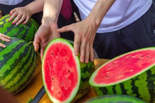 学生都吃瓜,揭秘学生们的瓜食文化