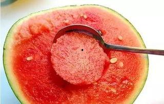 吃瓜出脓,瓜皮下的秘密与脓液背后的真相